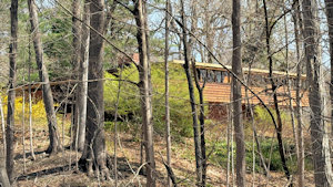 Roadside Image